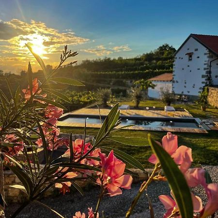Tomaj Skerlj Wine Estate旅馆 外观 照片