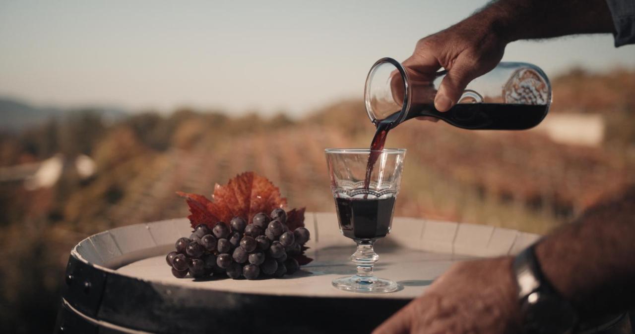 Tomaj Skerlj Wine Estate旅馆 外观 照片