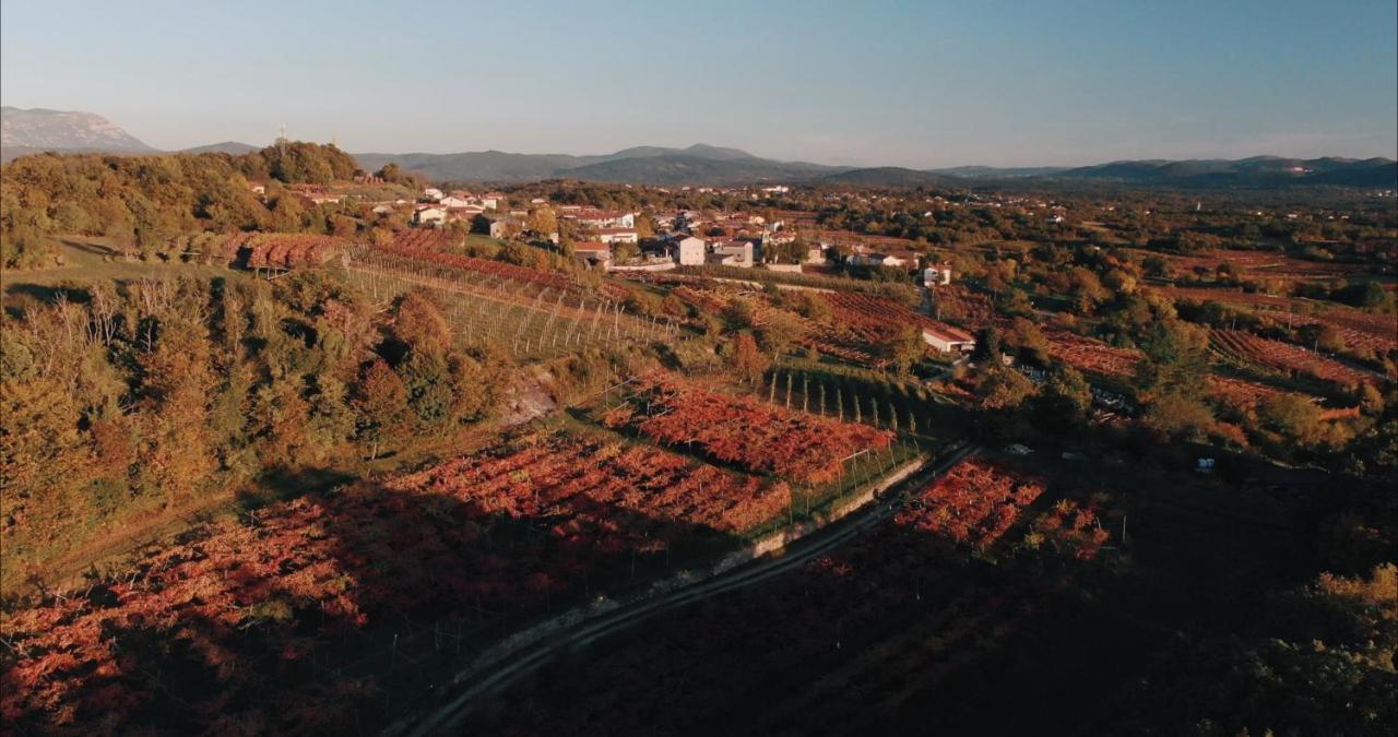 Tomaj Skerlj Wine Estate旅馆 外观 照片