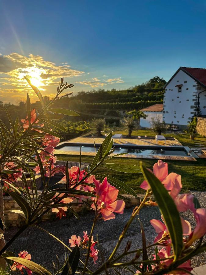 Tomaj Skerlj Wine Estate旅馆 外观 照片